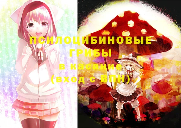 МДПВ Семёнов