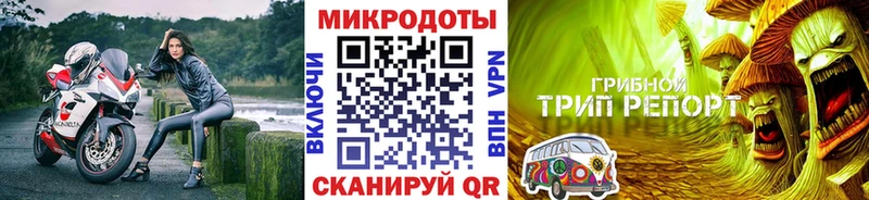 Купить закладки  Юрьевец  Галлюциногенные грибы Magic Shrooms 